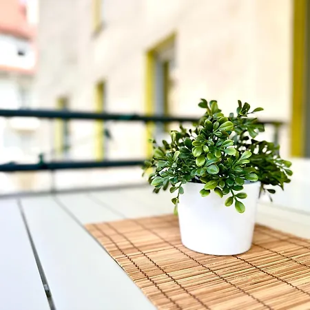 2 Pieces Avec Terrasse & Tram A 5 Min Straßburg